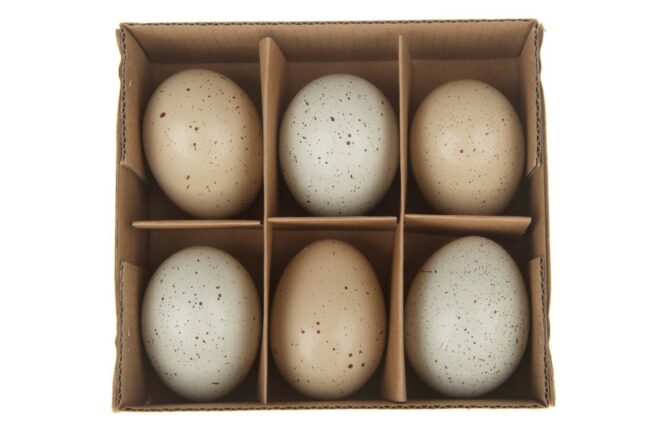 HEN'S EGGS ARTIFICIAL 5CM 6PCS