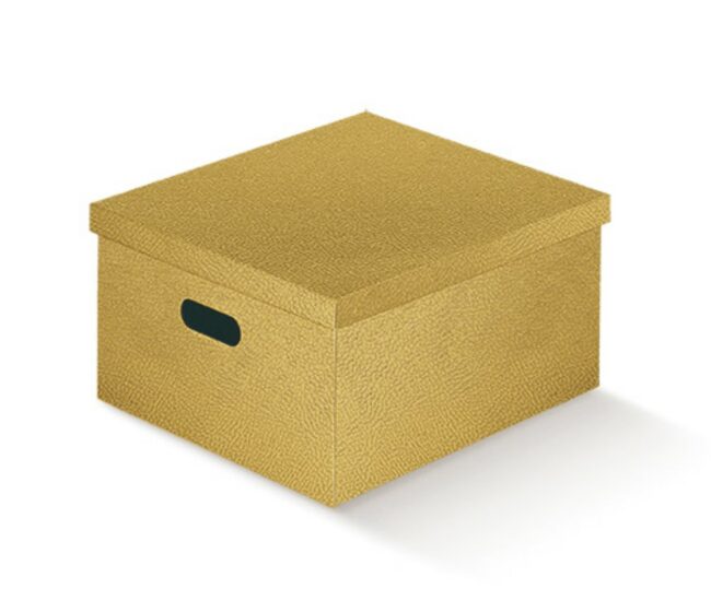 TUTTO A POSTO CON FORO PELLE ORO 400X460X230MM