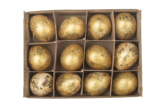 QUAIL EGGS 12PCS