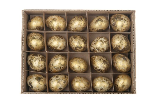 QUAIL EGGS 40PCS