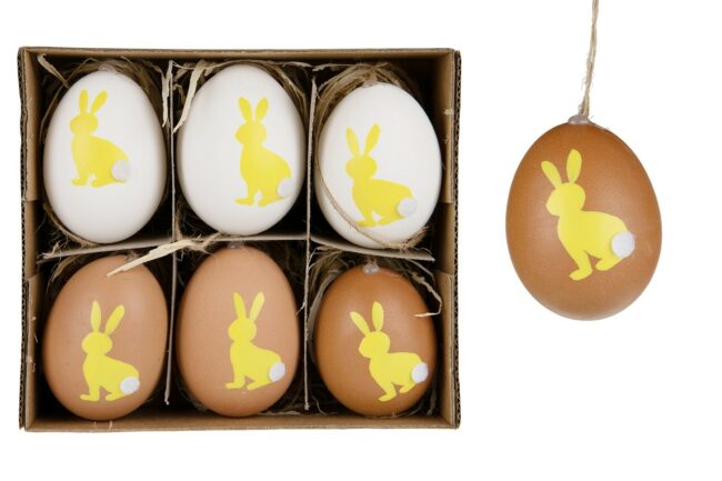 HENS EGGS NATURAL 6PCS
