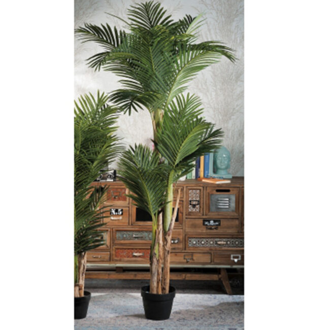 KENZIA IN VASE 200CM