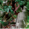 GARLAND LEAVES ASSORTED 2M - Image 2
