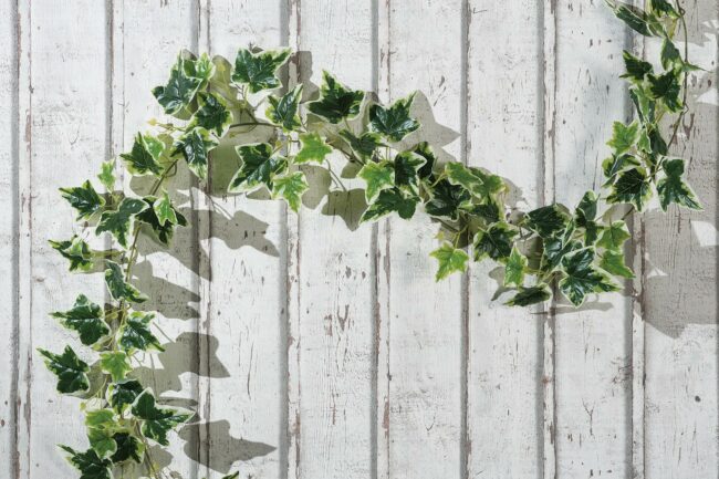GARLAND LEAVES ASSORTED 2M