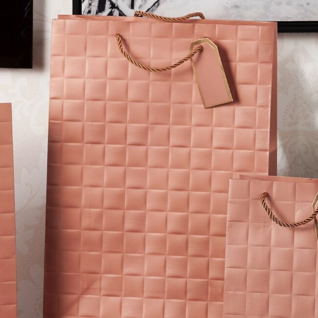 PAPER BAG ASSORTED 30X12X42CM