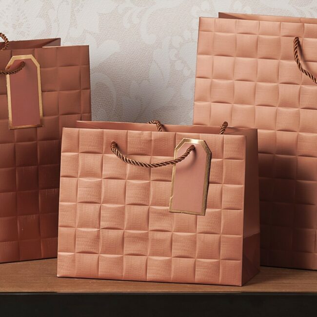 PAPER BAG ASSORTED 23X10X18CM