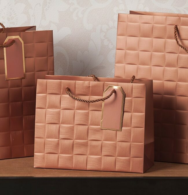 PAPER BAG ASSORTED 23X10X18CM