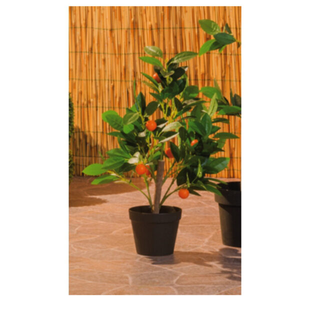 MANDARINE TREE IN VASE 16X60CM