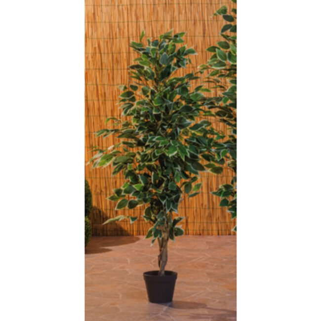 ARTIFICIAL EUCALYPTUS IN VASE 16X120CM