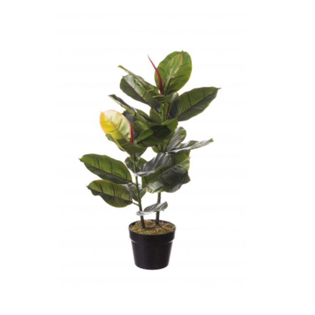 FICUS PLANT DECORATION IN VASE 15X65CM