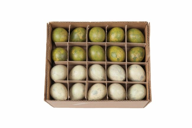 QUAIL EGGS GREEN MIX 60PCS