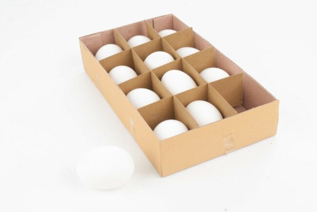 HENS EGGS WHITE 12PCS - Image 2