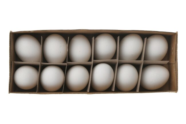 HENS EGGS WHITE 12PCS