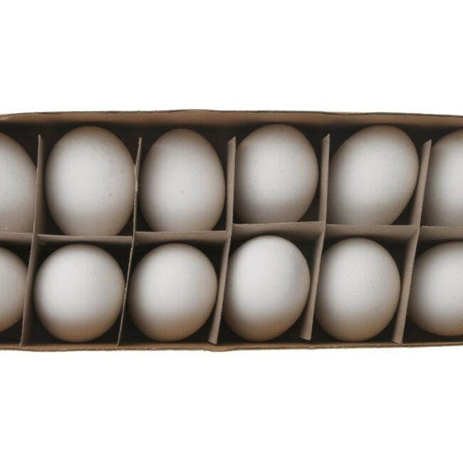 HENS EGGS WHITE 12PCS