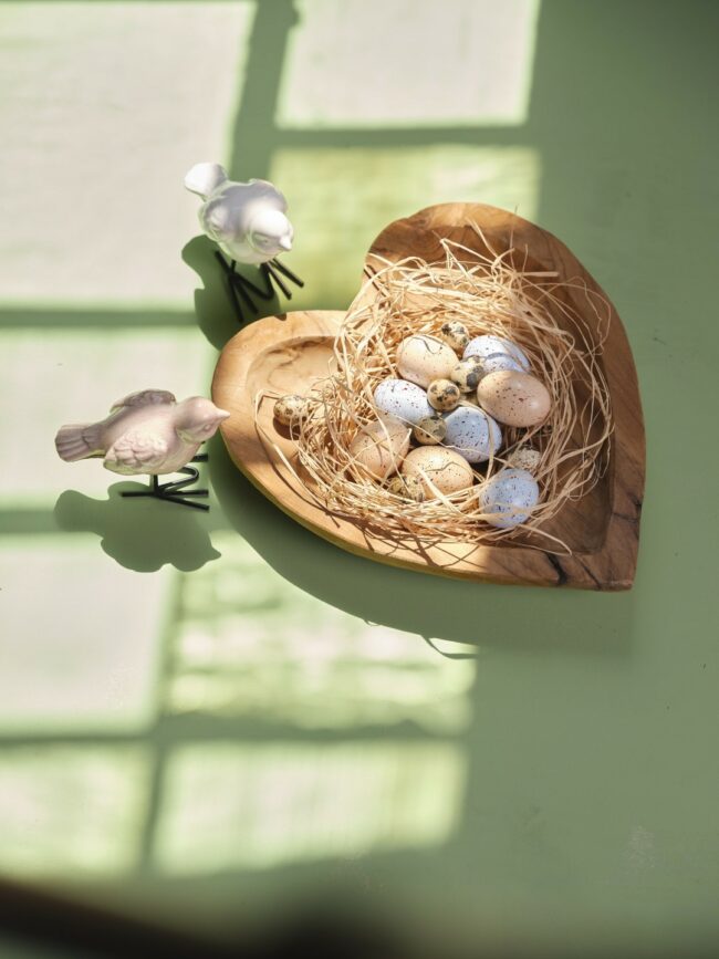 HEN'S EGGS MIXED 12PCS - Image 3