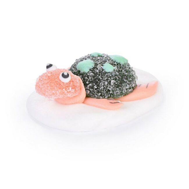 SUGAR AND JELLY SEA ASSORTED - 24 PCS - Image 3