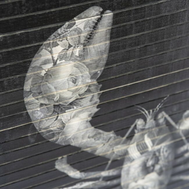 WALLDECOR MORITA LOBSTER 44X77X2CM - Image 2