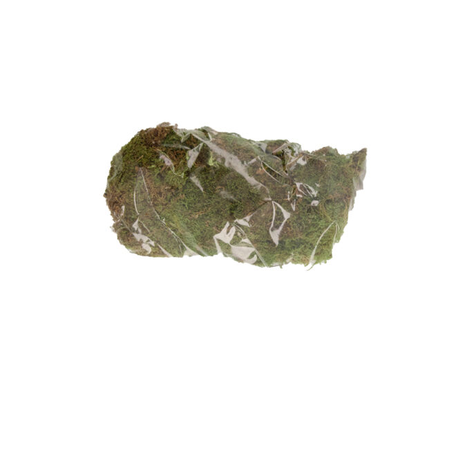 FLAT MOSS NATURAL 100GR - Image 3