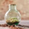 FLAT MOSS IN BOX 1KG - Image 2