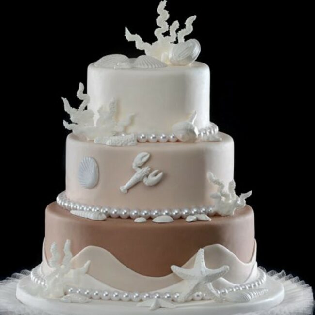 DECORATIVE WHITE SHELLS 8 PCS - Image 2