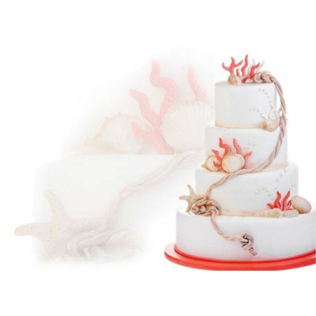 DECORATIVE WHITE SHELLS 8 PCS - Image 3