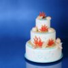 DECORATIVE WHITE SHELLS 8 PCS - Image 4