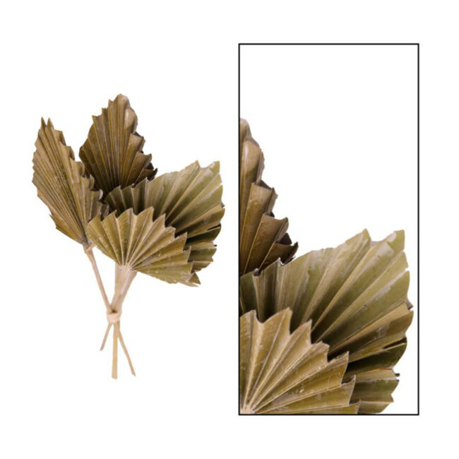 PALM SPEAR MEDIUM MOSS GREEN 30-37X8X0.5CM - 4 PCS