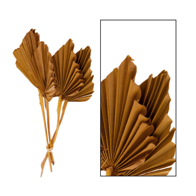 PALM SPEAR MEDIUM YELLOW  30-37X8X0.5CM - 4 PCS