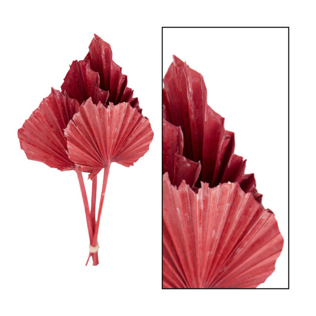PALM SPEAR MEDIUM DARK ORANGE  30-37X8X0.5CM - 4 PCS