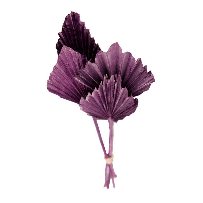 PALM SPEAR MEDIUM FUCHSIA 30-37X8X0.5CM - 4 PCS