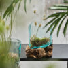 TEAK BOTTLE HOLDER NATURAL 30X30X8CM - Image 2