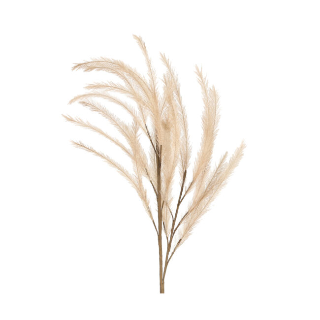 PLUME FOAM COFFEE 108CM