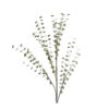 EUCALYPTUS BRANCH FOAM GREY 105CM