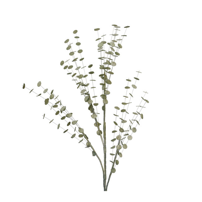 EUCALYPTUS BRANCH FOAM GREY 105CM