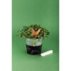 BLACKBOARD COLOUR SPRAY BLACK - 200ML - Image 4