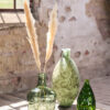 PAMPAS GRASS JAXX CREAM  65-75CM 6PCS - Image 2