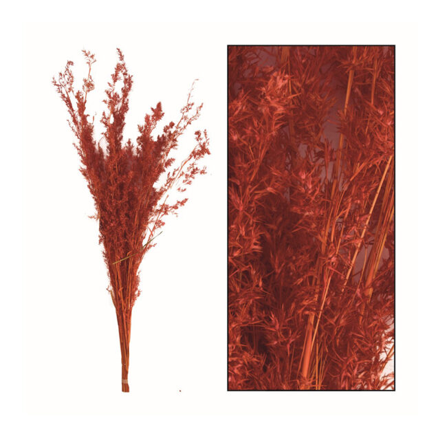 ALFONSO GRASS DARK ORANGE 100CM
