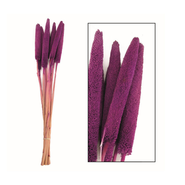 BABALA FUCHSIA 70X15X5CM - 10 PCS