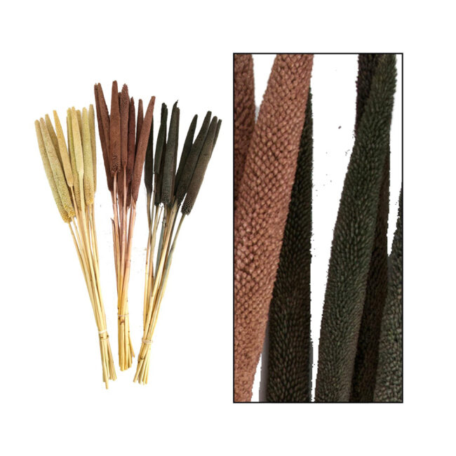 BABALA ASSORTED 70CM - 10 PCS