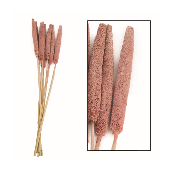 BABALA OLD PINK-WASH 70X15X5CM - 10 PCS