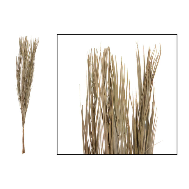 KHAJUR GRASS NATURAL 100GR 95-100CM