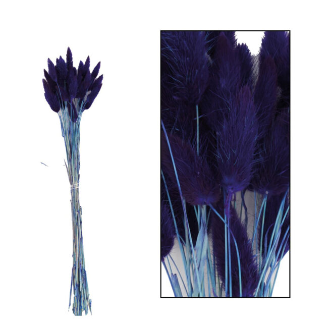 LAGARUS BUNDLE BLUE 45-50CM - 35 PCS