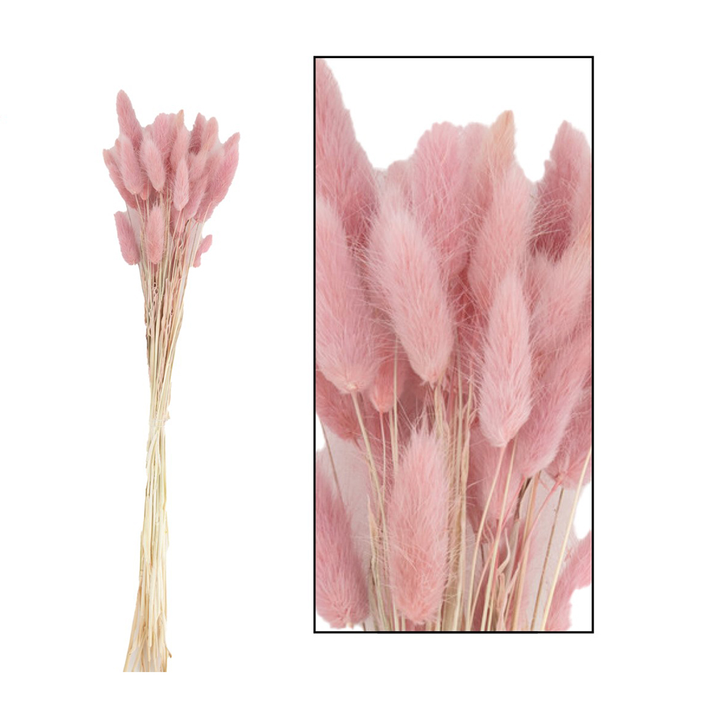LAGURUS BUNDLE SOFT PINK 45-50CM - 35 PCS