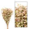 ALECRIM NATURAL 100GR - 75CM