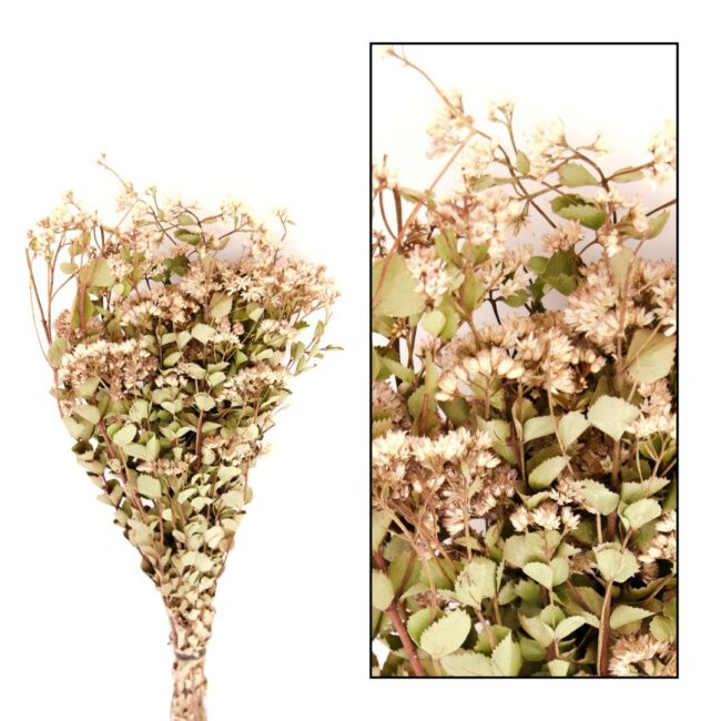 ALECRIM NATURAL 100GR - 75CM