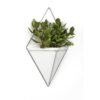 TRIGG NICKEL WALL DISPLAY LARGE WHITE 39X22CM - Image 4