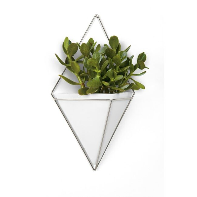 TRIGG NICKEL WALL DISPLAY LARGE WHITE 39X22CM - Image 4