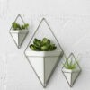 TRIGG NICKEL WALL DISPLAY SMALL WHITE 19X12CM 2PCS - Image 4
