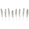 DECORATIVE FEATHER GOLD/SILVER 12-15CM - 8PCS