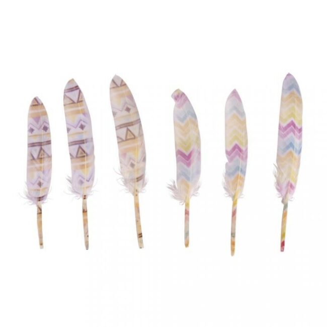 DECORATIVE FEATHER SERRATED 10CM 6PCS